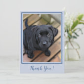 Bedankt Black Lab Puppy - Blauw Schattigee Labrado (Staand voorkant)