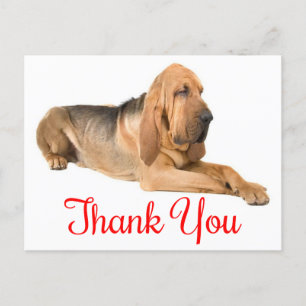 Bedankt Bloodhound Puppy Dog Briefkaart
