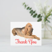 Bedankt Bloodhound Puppy Dog Briefkaart (Staand voorkant)