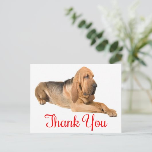 Bedankt Bloodhound Puppy Dog Briefkaart (Staand voorkant)