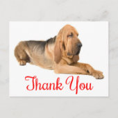Bedankt Bloodhound Puppy Dog Briefkaart (Voorkant)
