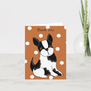 Bedankt Boston Terrier