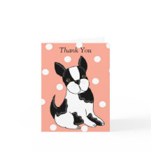 Bedankt Boston Terrier