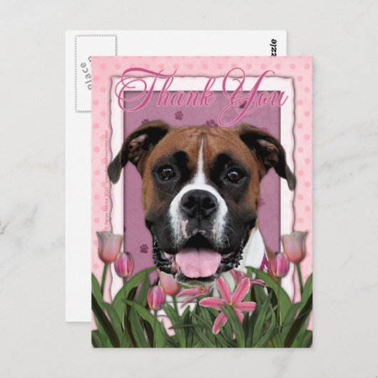 Bedankt - Boxer - Vindy Briefkaart (Voorkant / Achterkant)