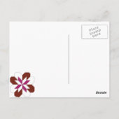 Bedankt briefkaart (Achterkant)