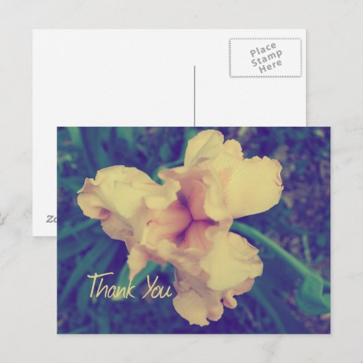 Bedankt Briefkaart (Voorkant / Achterkant)