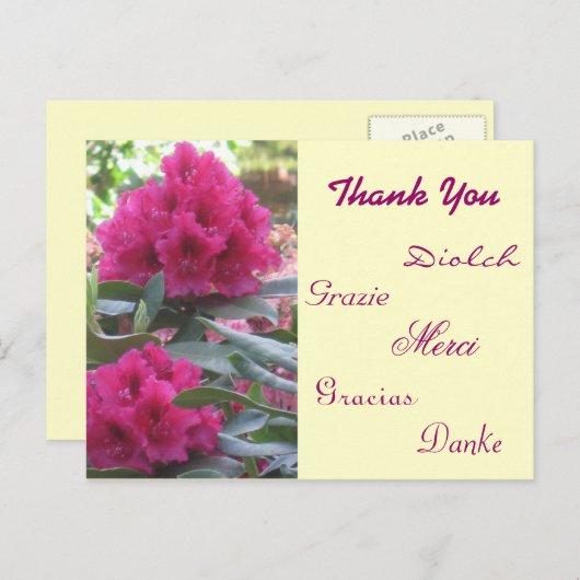 Bedankt Briefkaart (Voorkant / Achterkant)