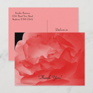 Bedankt Briefkaart, Koraal Roze Rozenblaadjes Briefkaart