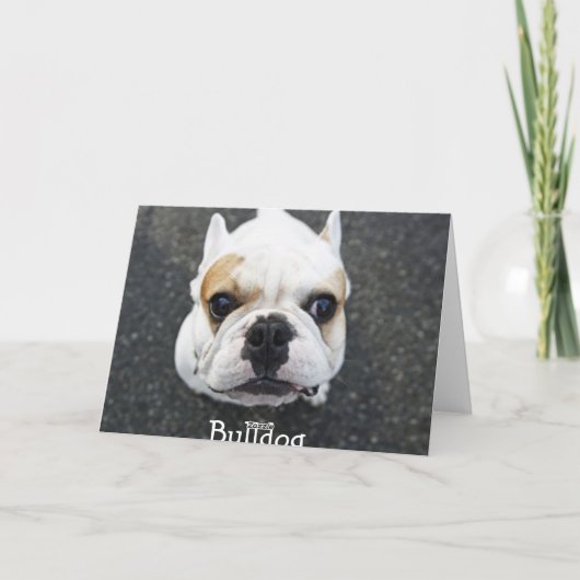Bedankt Bulldog Wenskaart - Cadeauvers (Achterkant)