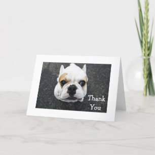 Bedankt Bulldog Wenskaart - Cadeauvers