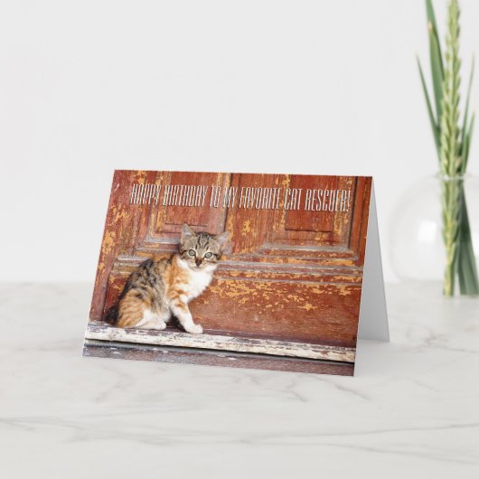 Bedankt Cat Rescuer Wenskaart (Voorkant)