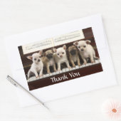 Bedankt Chihuahua Puppy Dogs Greeting Sticker (Envelop)