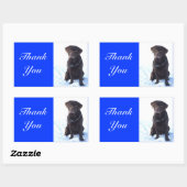 Bedankt Chocolade Labrador Retriever Sticker (Vel)