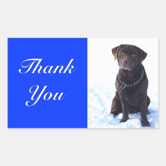 Bedankt Chocolade Labrador Retriever Sticker (Voorkant)