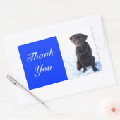 Bedankt Chocolade Labrador Retriever Sticker (Envelop)
