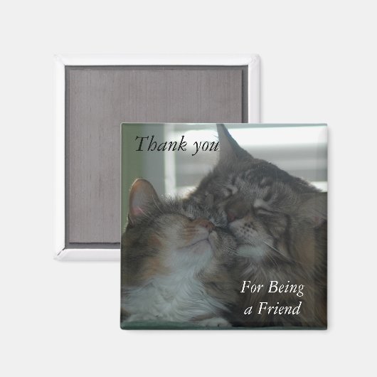 Bedankt dat je een vriend bent Magnet (Voorkant / Achterkant)