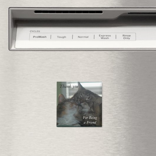 Bedankt dat je een vriend bent Magnet (Insitu (Vaatwasser))