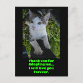Bedankt dat je me adopteert... zal voor altijd van briefkaart (Voorkant)