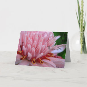 Bedankt dat je me weggooit met roze gember