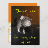 Bedankt dat je voor mijn rattenkaart zorgt (Voorkant / Achterkant)