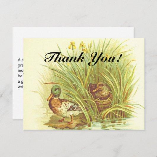 "Bedankt!" + Ducks in de buurt van het Water Brief Briefkaart (Voorkant / Achterkant)