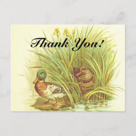 "Bedankt!" + Ducks in de buurt van het Water Brief Briefkaart