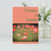 Bedankt een kudde! Flamingo Dank u Kaart (Staand voorkant)
