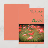 Bedankt een kudde! Flamingo Dank u Kaart (Voorkant / Achterkant)