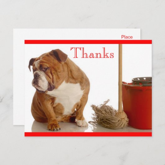 Bedankt English Bulldog Pup Groet Briefkaart (Voorkant / Achterkant)