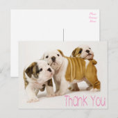 Bedankt English Bulldog Puppy Dogs Briefkaart (Voorkant / Achterkant)