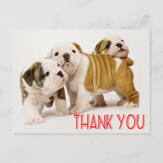 Bedankt English Bulldog Puppy Dogs Briefkaart (Voorkant)