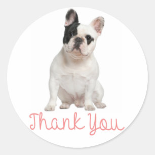 Bedankt Franse Bulldog Puppy Dog Sticker