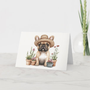 Bedankt Franse Bulldog Tuinieren Bloempotten