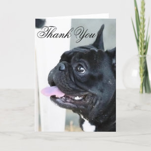 Bedankt Franse Bulldog wenskaart