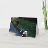 BEDANKT GASTVRIJHEID KAART (Voorkant)