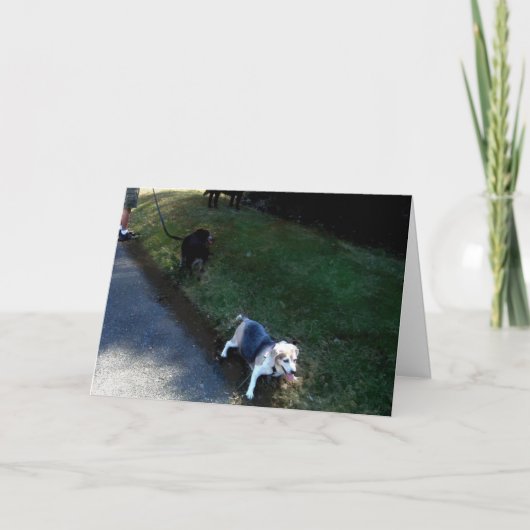 BEDANKT GASTVRIJHEID KAART (Voorkant)