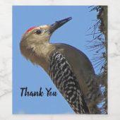 Bedankt Gila Woodpecker Foto Bird Appreciation Wijn Etiket (Enkel label)
