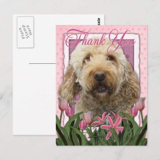 Bedankt - Goldendoodle Briefkaart (Voorkant / Achterkant)