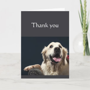 Bedankt hadden niet kunnen doen zonder You Fun Dog Kaart