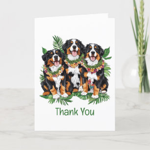 Bedankt Hawaiian Berner Mountain Dogs