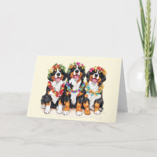 Bedankt Hawaiian Berner Mountain Dogs