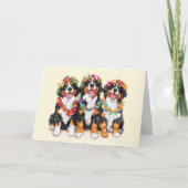 Bedankt Hawaiian Berner Mountain Dogs (Voorkant)