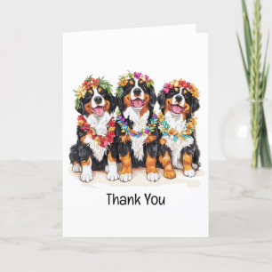 Bedankt Hawaiian Berner Mountain Dogs
