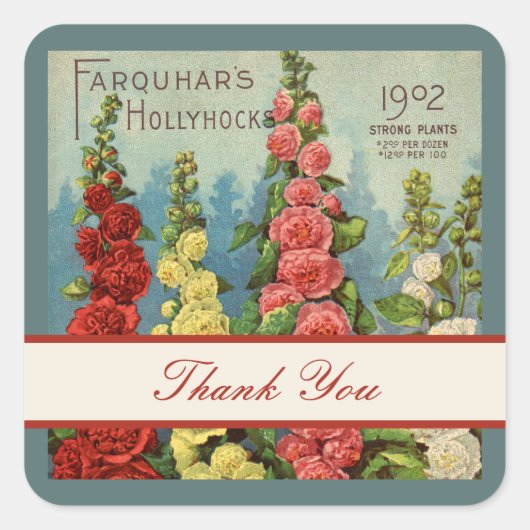 Bedankt Hollyhocks Peach Red Seed Packet Art Vierkante Sticker (Voorkant)