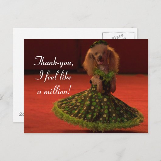 Bedankt hond briefkaart (Voorkant / Achterkant)