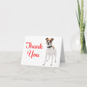 Bedankt Jack Russell Terrier Puppie Hond Notitieka