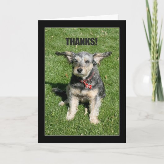 Bedankt! Je kindheid heeft me bijna weggeblazen. Bedankkaart (Voorkant)