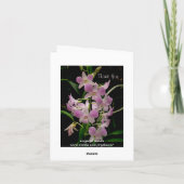 Bedankt kaart met roze orchideeën (Achterkant)