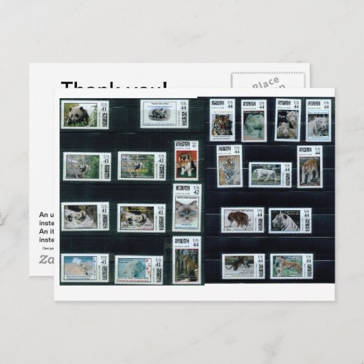 Bedankt! kaart/ongewoon briefkaart (Voorkant / Achterkant)