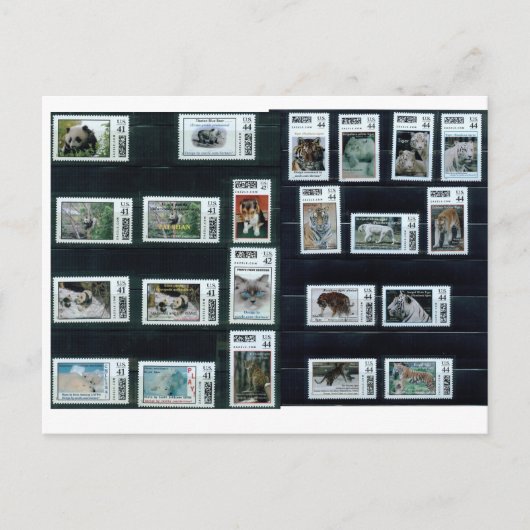 Bedankt! kaart/ongewoon briefkaart (Voorkant)